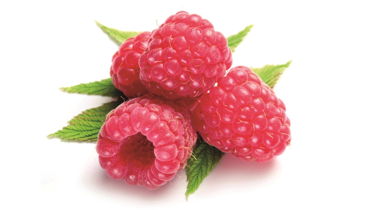 198212 Himbeer light SGO 11 kg