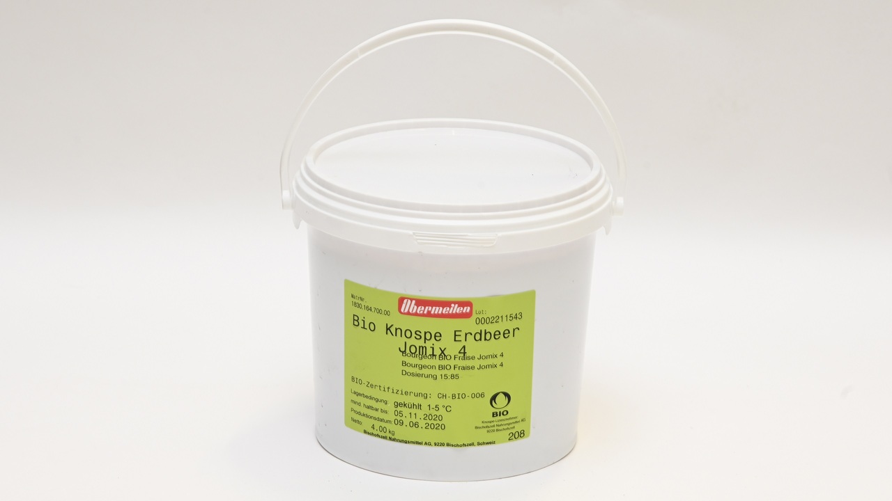 198502 Erdbeer Knospe BIO SGO 4,0 kg