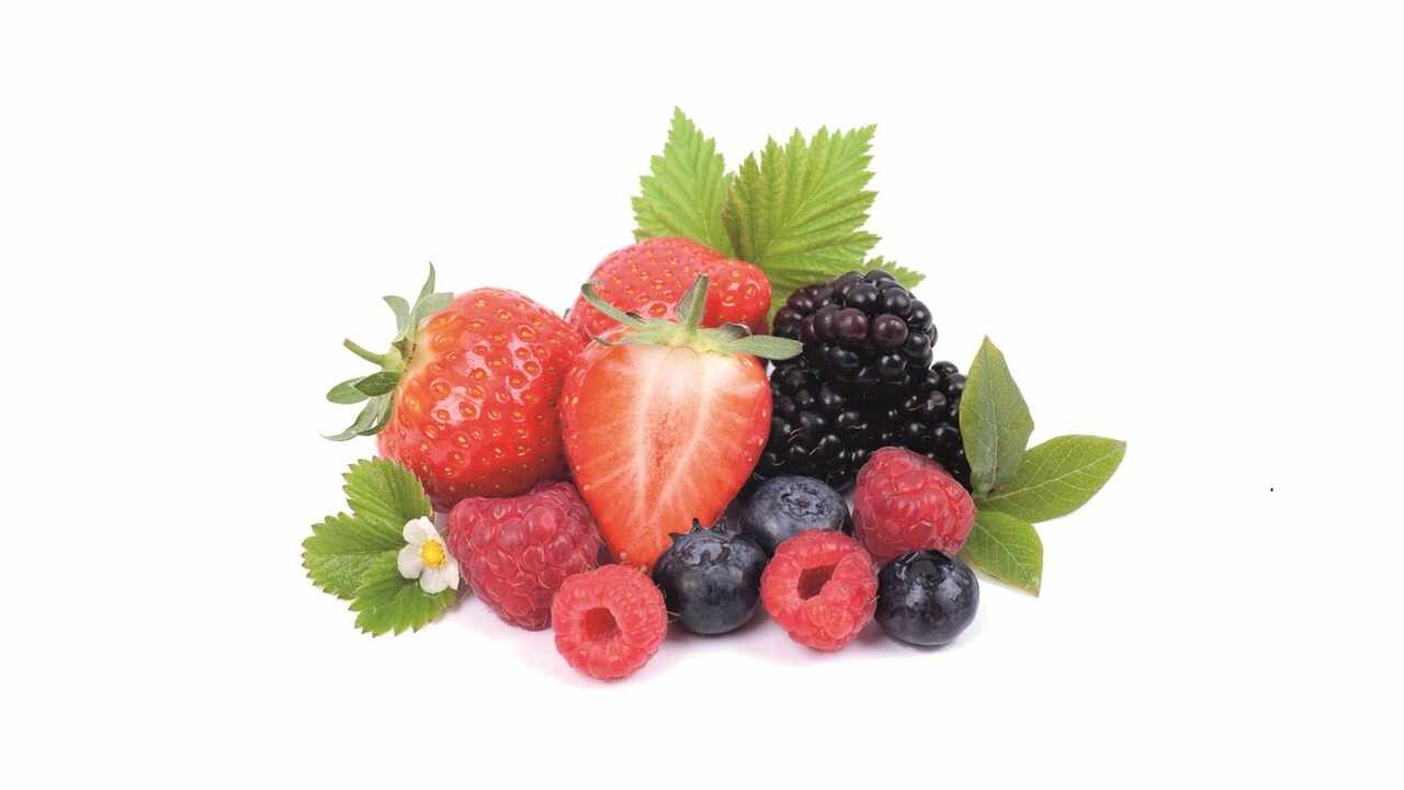 198342 Waldbeer Schweiz FRU 14 kg