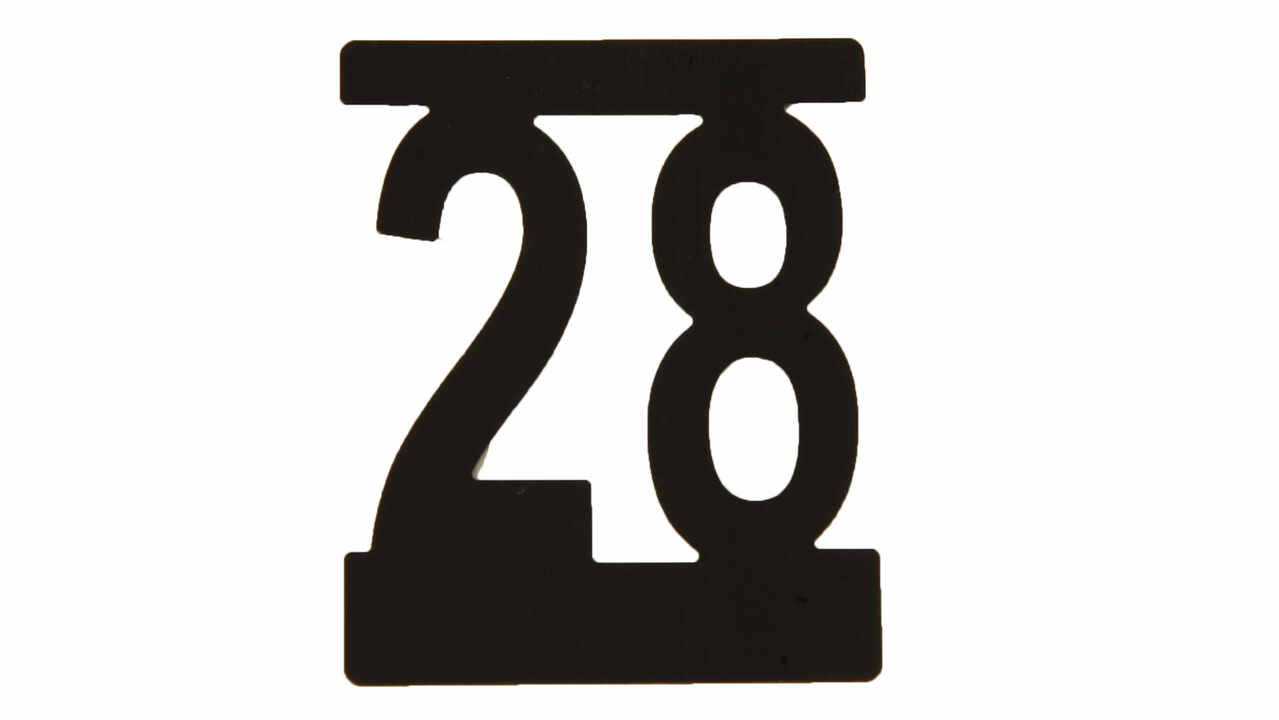 299628.JPG