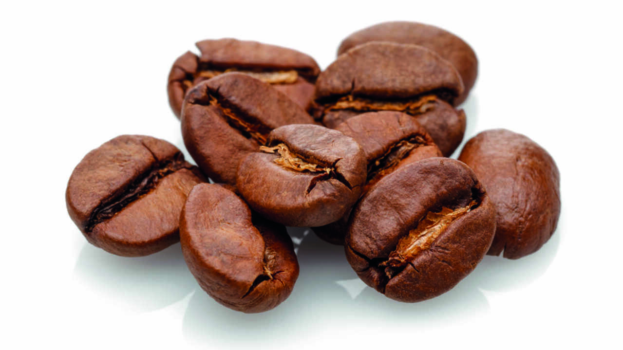 198510  Mocca BIO Knospe.jpg