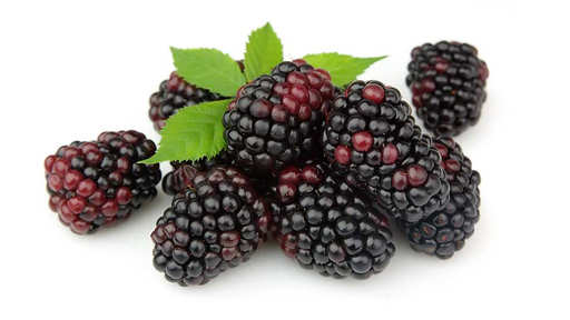 198114 Brombeer  SGO 14 kg
