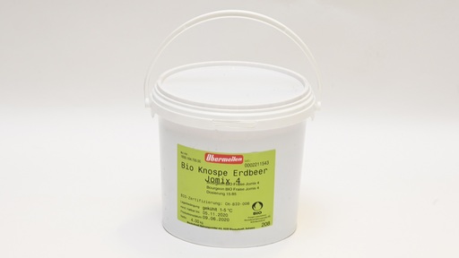198502 Erdbeer Knospe BIO SGO 4,0 kg