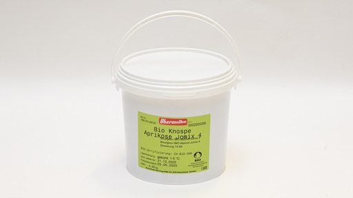 198504 Aprikose Knospe BIO SGO 4,0 kg