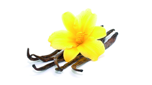 199008 Vanille normal SGO 4,0 kg